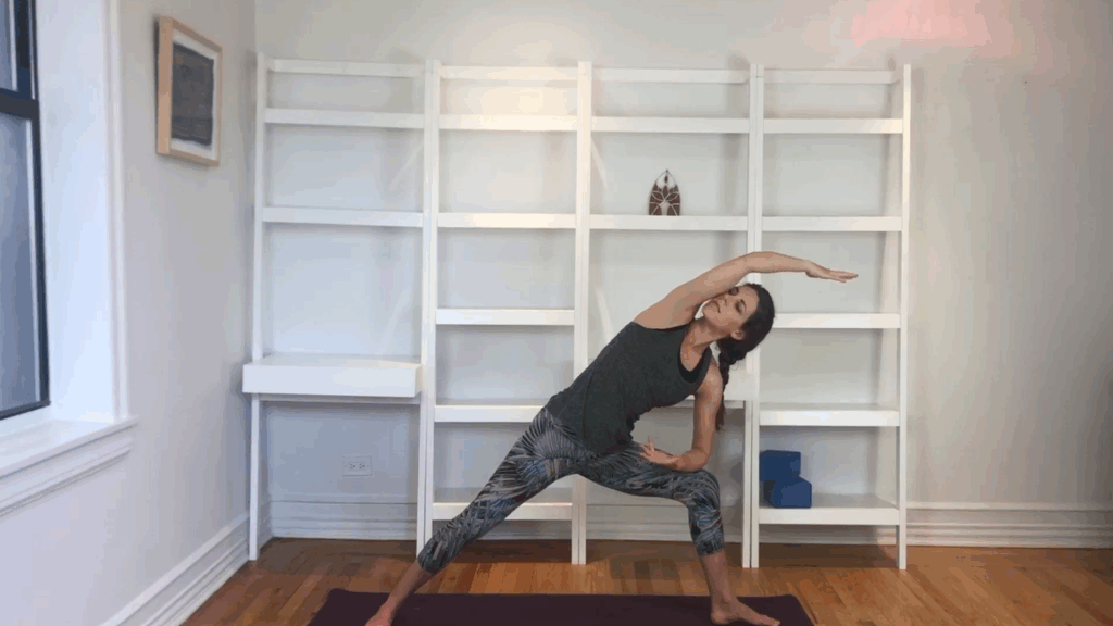 The Parable of The Workers in The Vineyard Slow Flow with Anne Deeb