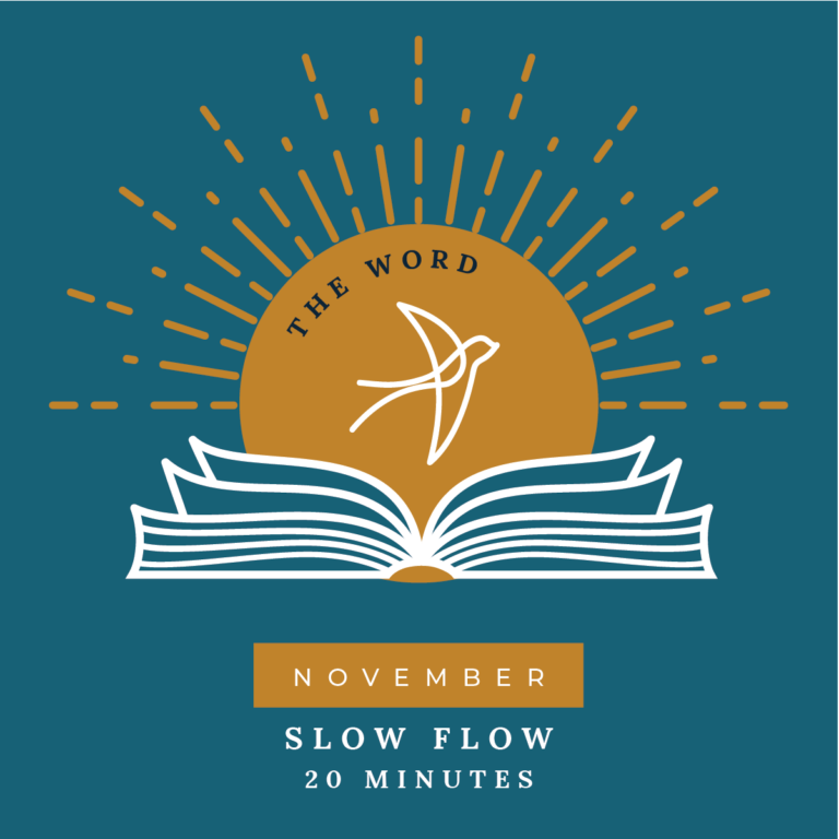 November: 20 Minutes Slow Flow