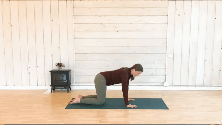 Sacred Spaces The Body Slow Flow With Jamie Terry