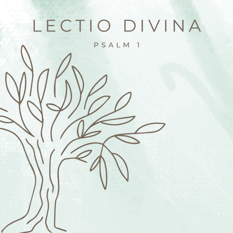 January: Lectio Divina