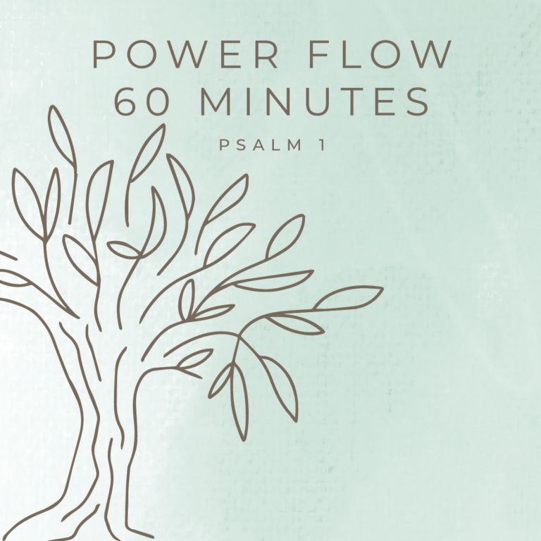 January: 60 Minute Power Flow