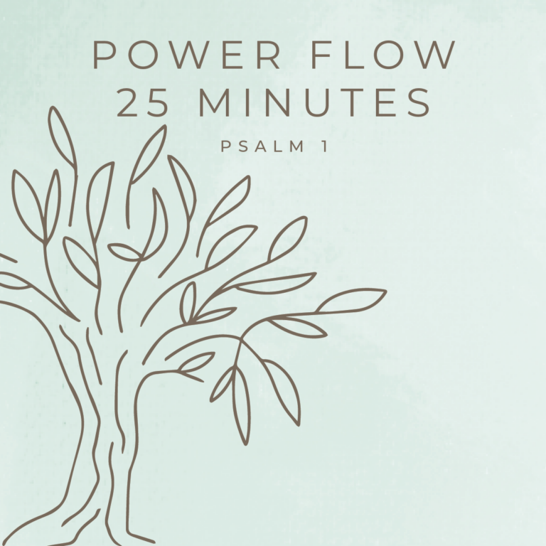 January: 25 Minute Power Flow