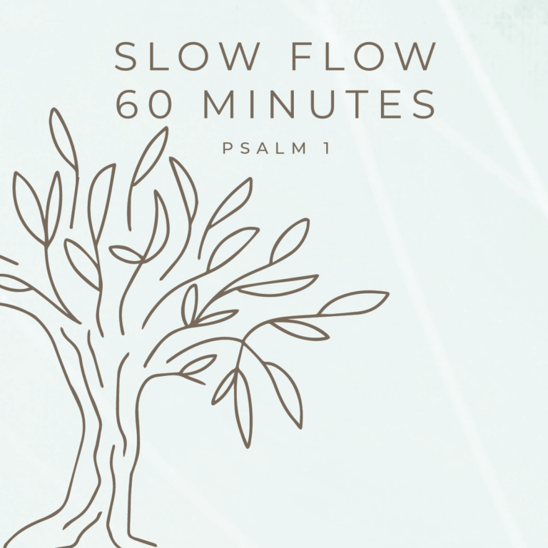 January: 60 Minute Slow Flow