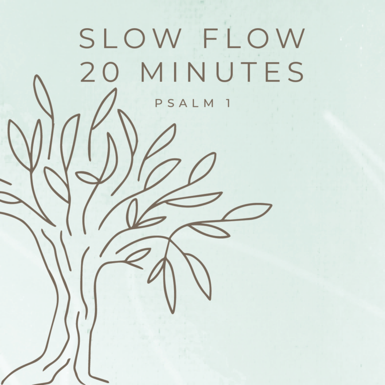 January: 20 Minute Slow Flow New to Yoga