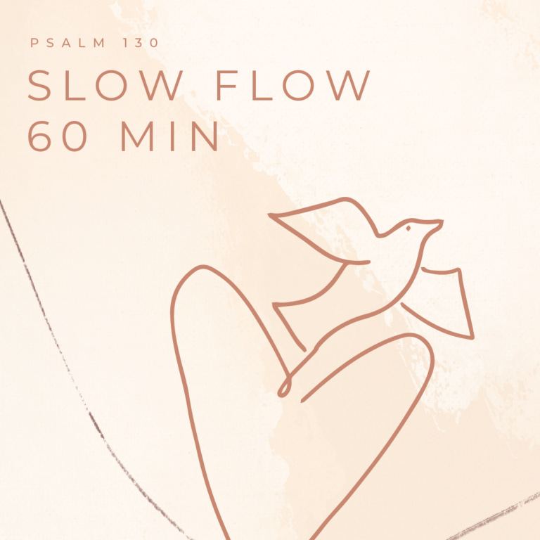 April: 60 Minute Slow Flow Hip Focused