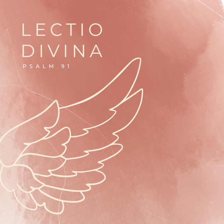 November 2022 Lectio Divina