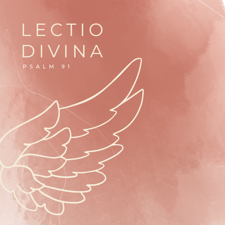 November: Lectio Divina