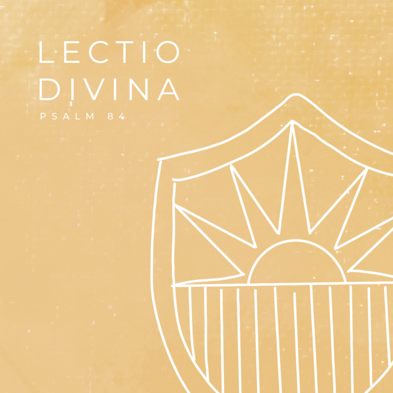 October: Lectio Divina