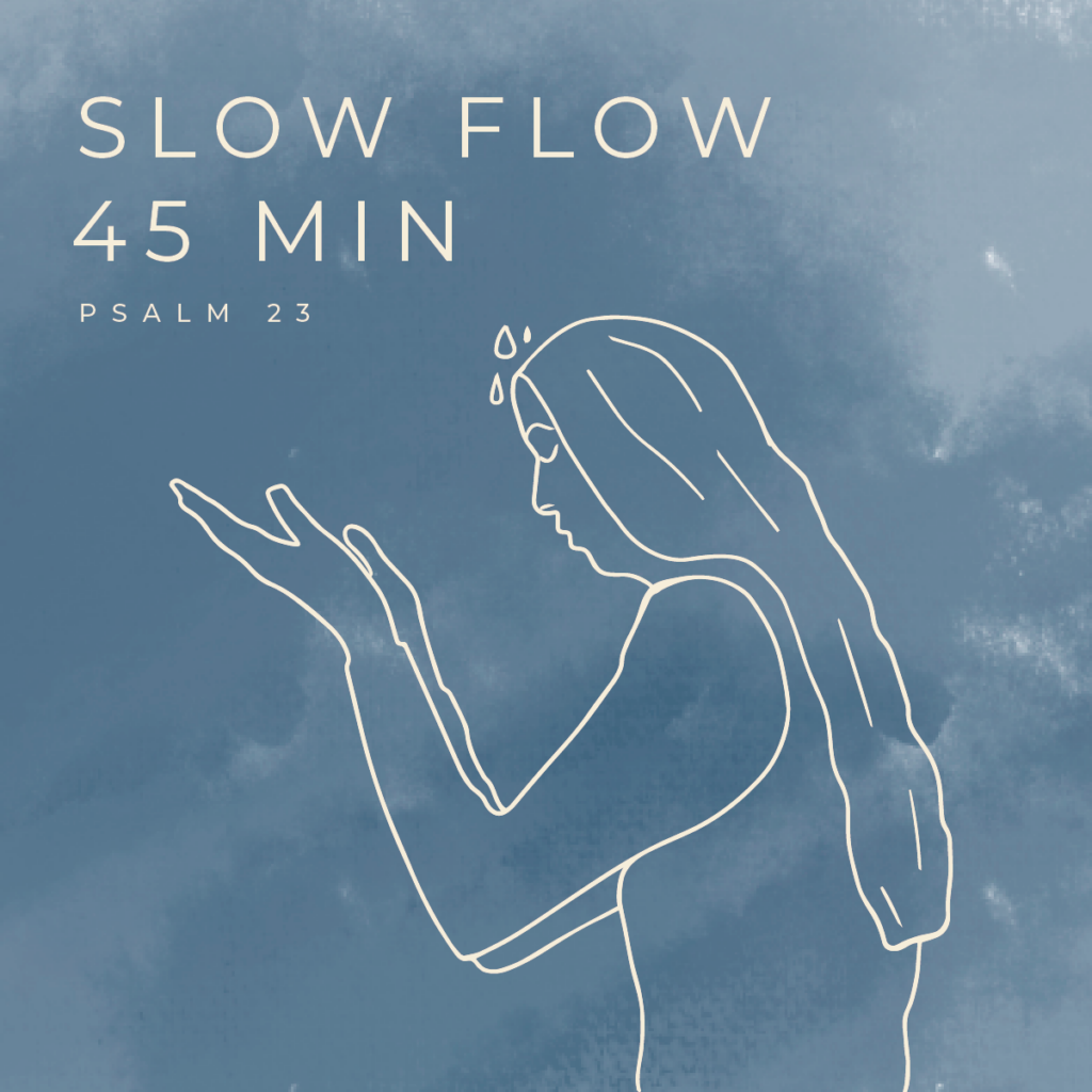 December 22 Slow Flow 45 Min