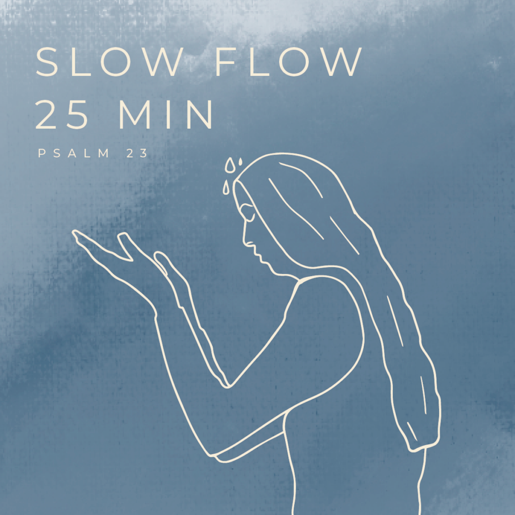 December 2022 Slow Flow 25 Min