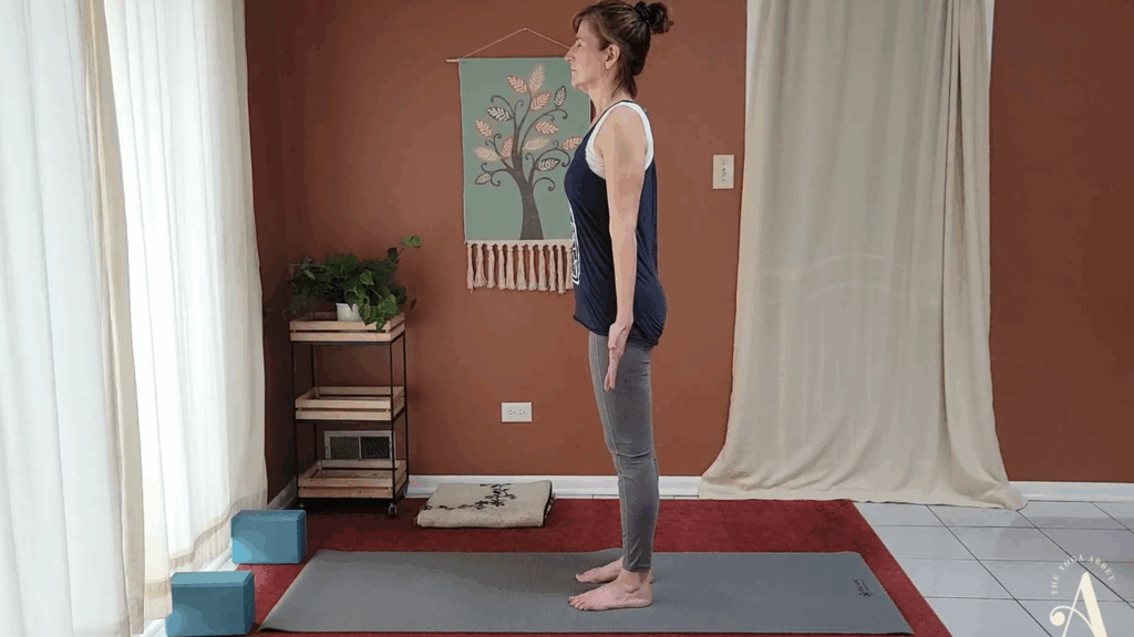 Heart Opening Slow Flow with Dimitra Vasilopoulos