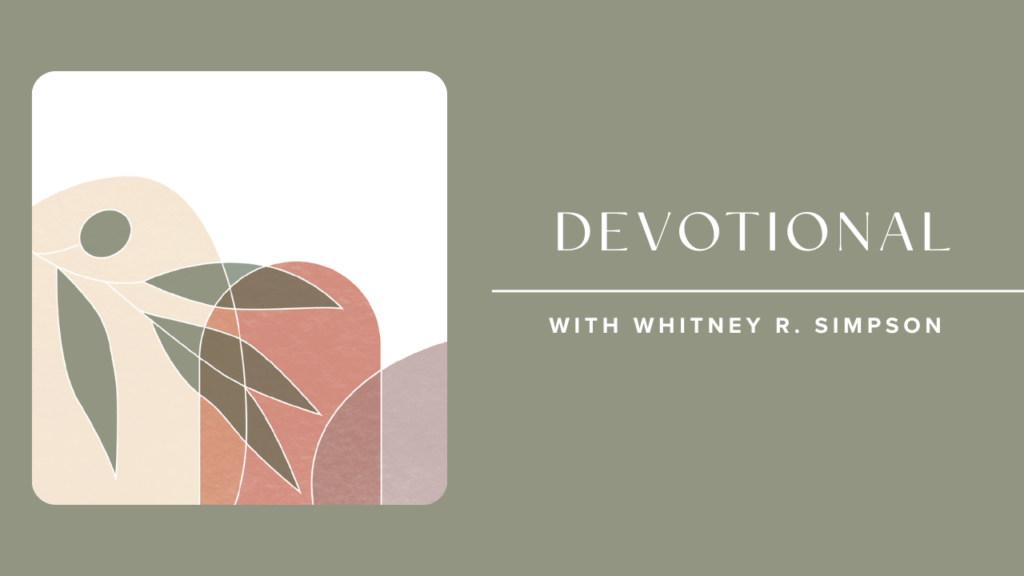 Content Thumbnail Templates (1)