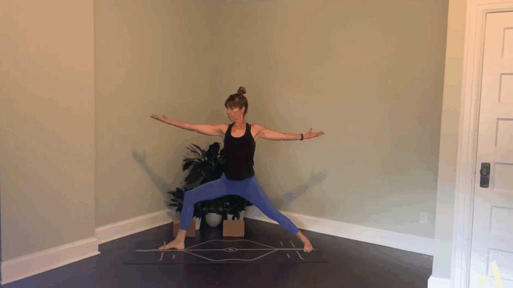 A Power Flow of Friendship and Wholeness with Anne Gardner