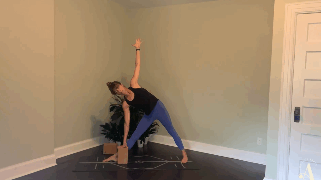 Jesus Prays for His Disciples Power Flow with Anne Gardner