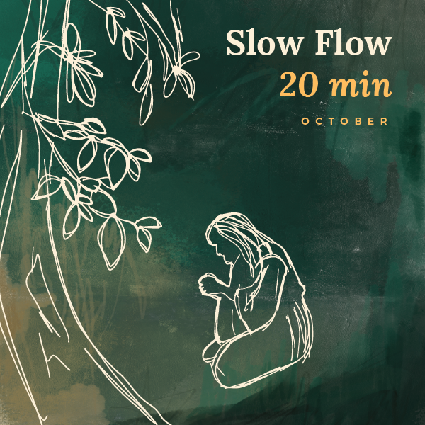 October 2024 20 Min Slow Flow