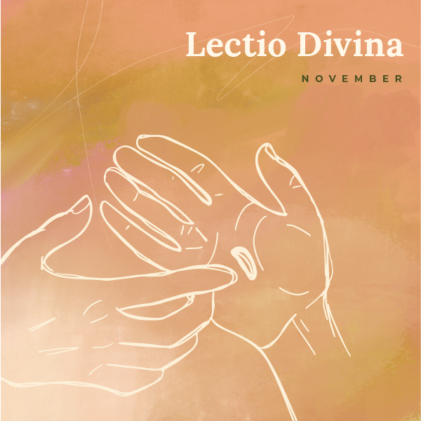 November 2024 Lectio Divina
