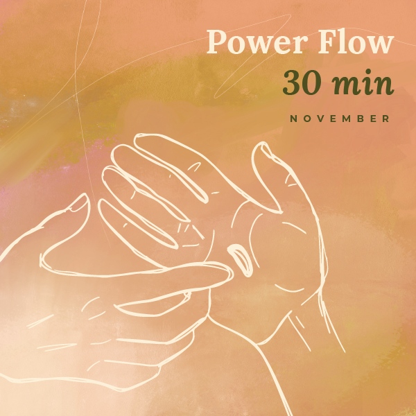 November 2024 30 Min Power Flow