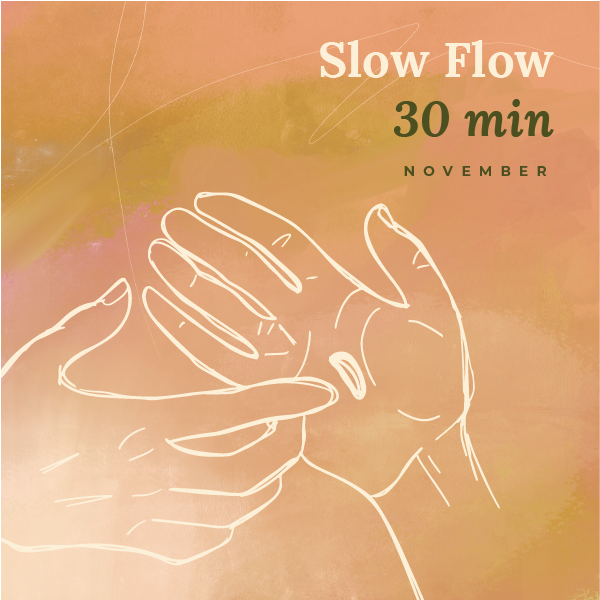 November 2024 30 Min Slow Flow