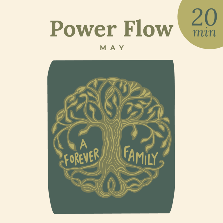 May 2025 20 Min Power Flow