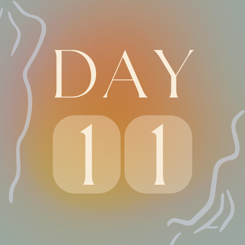 Day 11