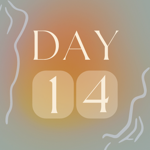 Day 14
