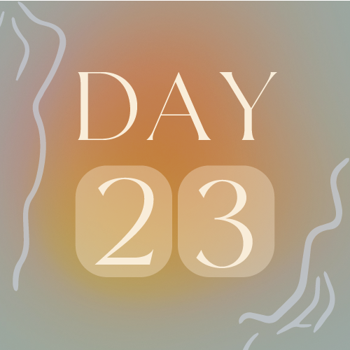 Day 23