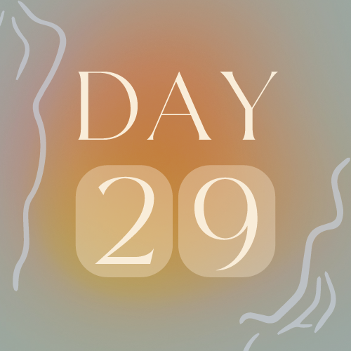 Day 29