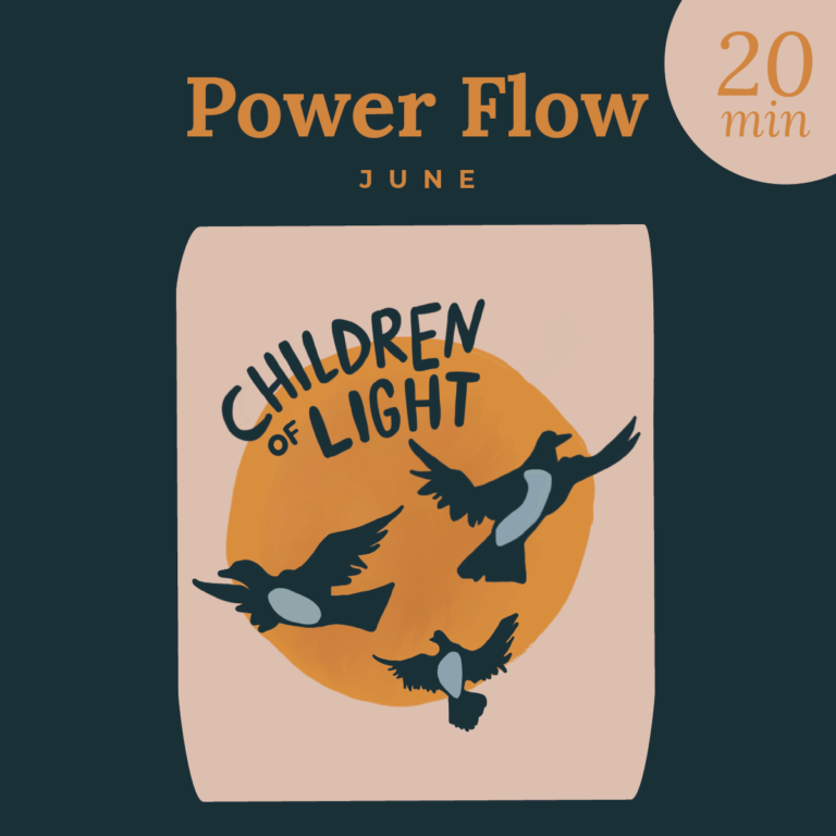 June 2025 20 Min Power Flow