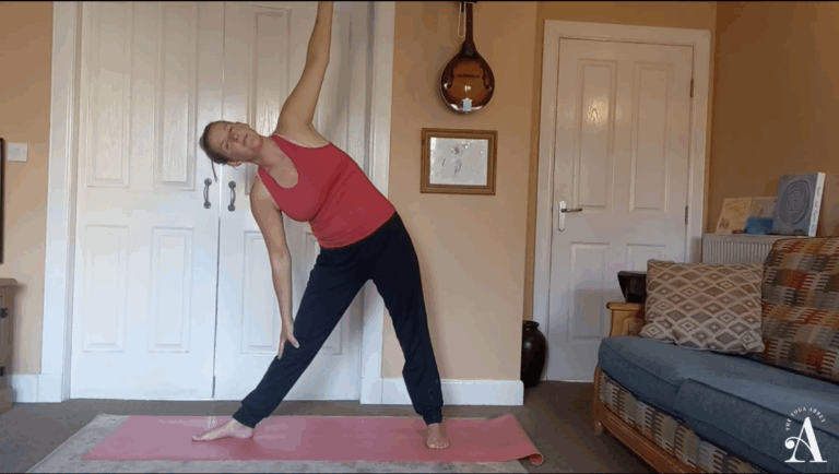 Emma Timms in Triangle Pose Simple Heat Building Power Flow