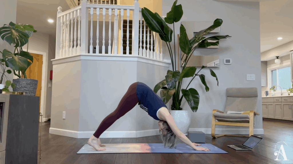 Megan Ericson in Downward Facing Dog