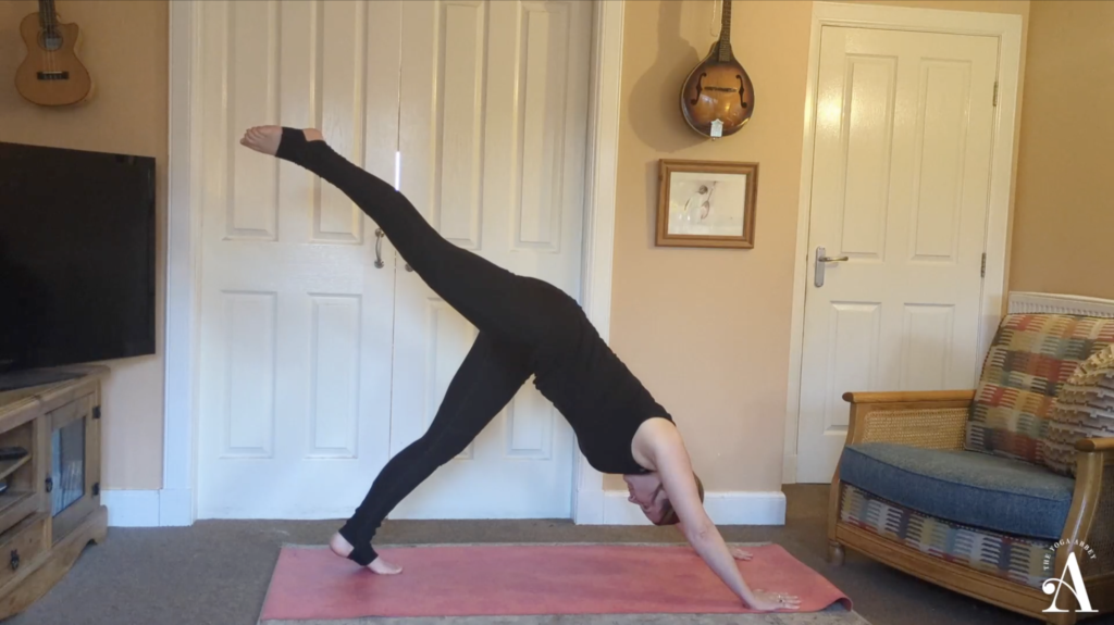 Emma Timms in Downward Dog Split